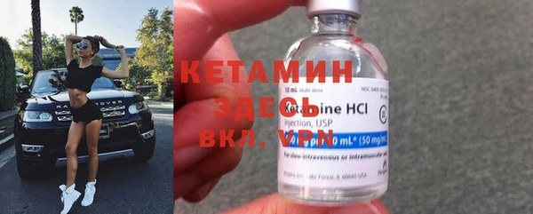 шишки Няндома