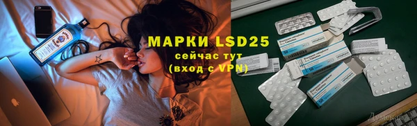 шишки Няндома