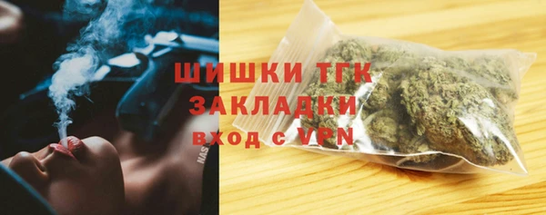 шишки Няндома
