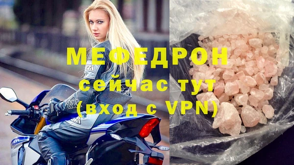 шишки Няндома