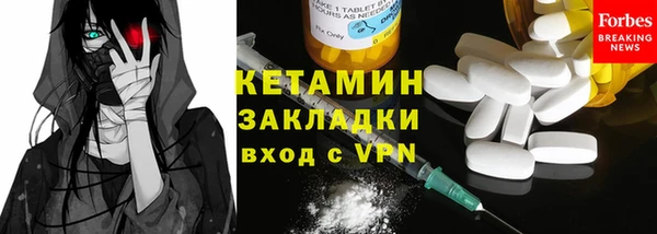 шишки Няндома