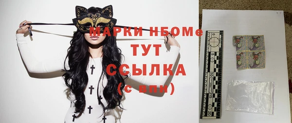 шишки Няндома