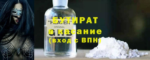 шишки Няндома