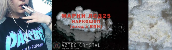 шишки Няндома