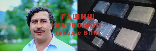 шишки Няндома