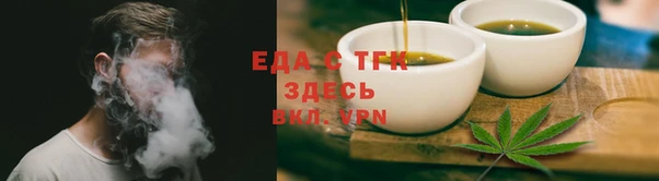 шишки Няндома