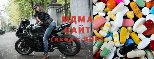 шишки Няндома