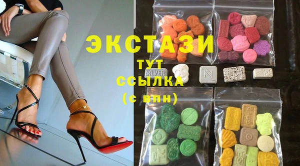 шишки Няндома