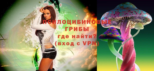 МДПВ Нязепетровск