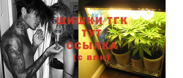 МДПВ Нязепетровск