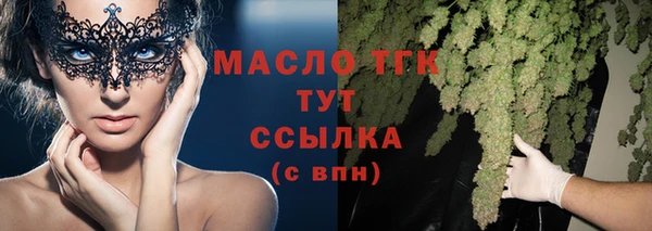 шишки Няндома